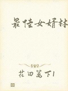 最佳女婿林凡封面