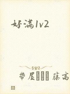 好满1v2封面