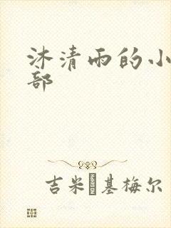 沐清雨的小说全部