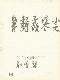 枭起青壤小说免费阅读全文无删减封面