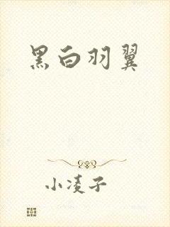 黑白羽翼封面