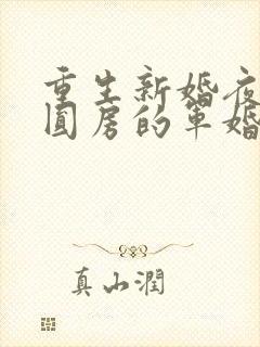 重生新婚夜正在圆房的军婚