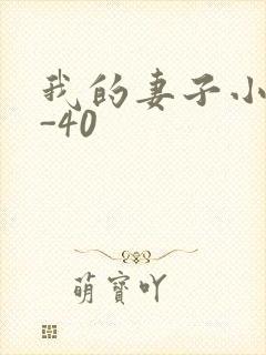 我的妻子小谨1-40