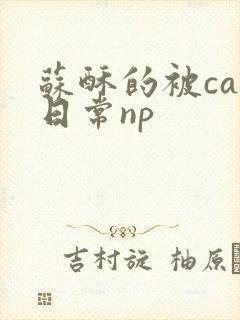 苏酥的被cao日常np