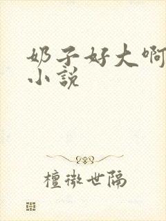 奶子好大啊嗯嗯小说