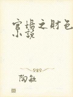 官场之财色诱人小说