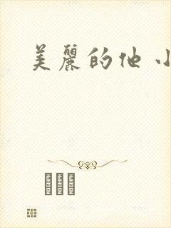 美丽的他 小说