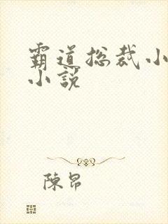 霸道总裁小娇妻小说