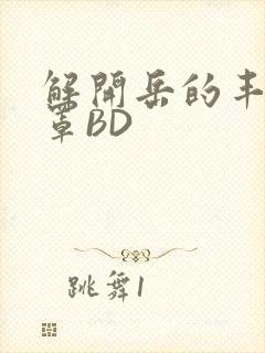 解开岳的丰满奶罩BD封面