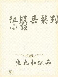 征服岳系列短篇小说封面