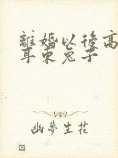 离婚以后高干 耳东兔子封面