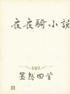 夜夜骑小说封面