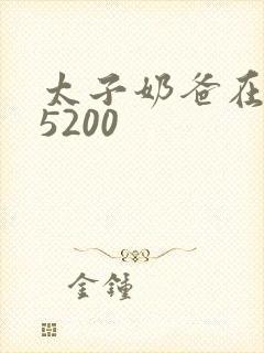 太子奶爸在花都5200封面