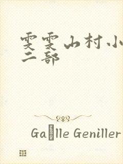 雯雯山村小说第二部