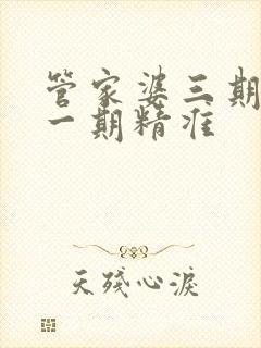 管家婆三期必开一期精准