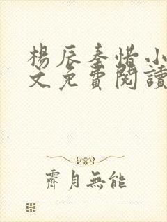 杨辰秦惜小说全文免费阅读完整版封面