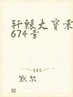 轩辕大宝袁雪妃674章