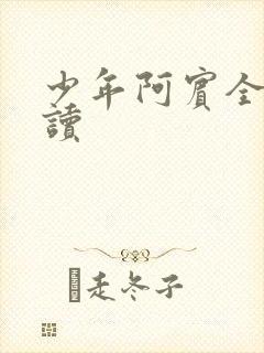 少年阿宾全集阅读