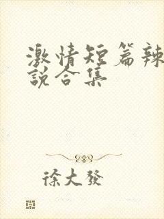 激情短篇辣文小说合集