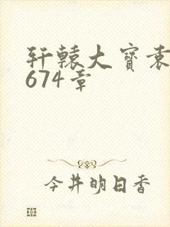 轩辕大宝袁雪妃674章