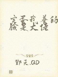 完蛋我养的小白脸是大佬