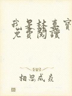 我是林喜宝小说免费阅读封面