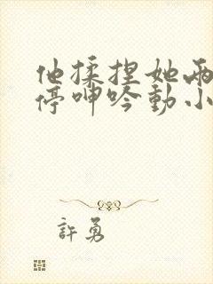 他揉捏她两乳不停呻吟动小说