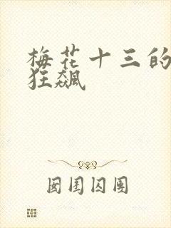 梅花十三的乳液狂飙封面