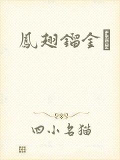 凤翅镏金镋封面