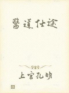 医道仕途封面