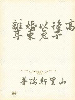 离婚以后高干 耳东兔子