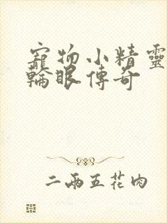 宠物小精灵之写轮眼传奇