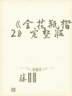 《金花瓶楷梅花2》完整版