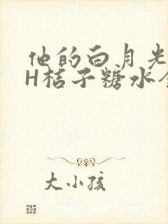 他的白月光HVH桔子糖水全文