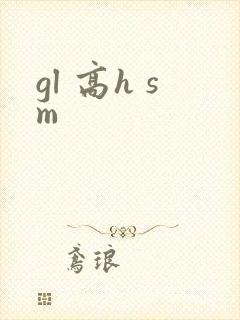 gl 高h sm