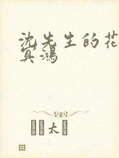 沈先生的花式调冥鸿