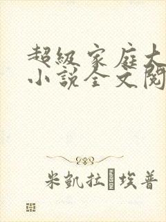 超级家庭大杂烩小说全文阅读