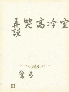 弄哭高冷室友小说