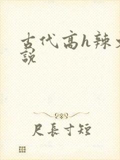 古代高h辣文小说