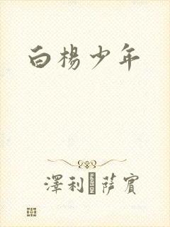 白杨少年封面