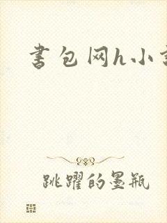 书包网h小说封面
