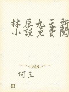 林辰九天斩神诀小说免费阅读