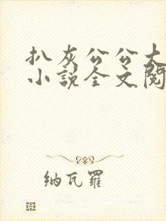 扒灰公公大杂烩小说全文阅读封面