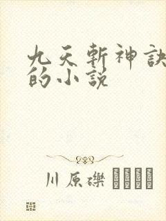 九天斩神诀林辰的小说