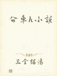 公车h小说
