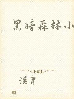 黑暗森林小说