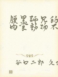 腹黑师兄的日常肉食动物不食草封面