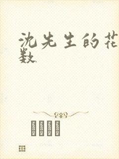 沈先生的花式调数