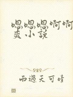 嗯嗯嗯啊啊啊好爽小说