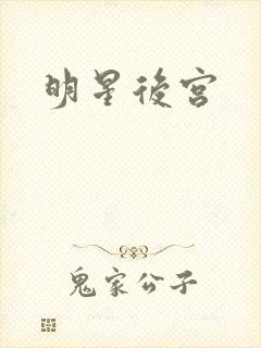 明星后宫